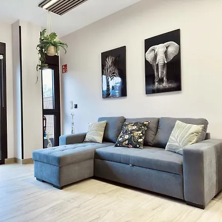 Apartment Flower Deluxe Completo Con Jardin 6082